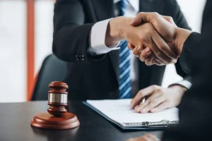 Defense Lawyer